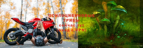 тгк Бугульма