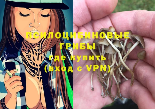 гидропоника Бронницы