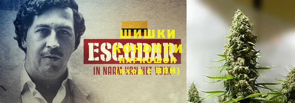 тгк Бугульма