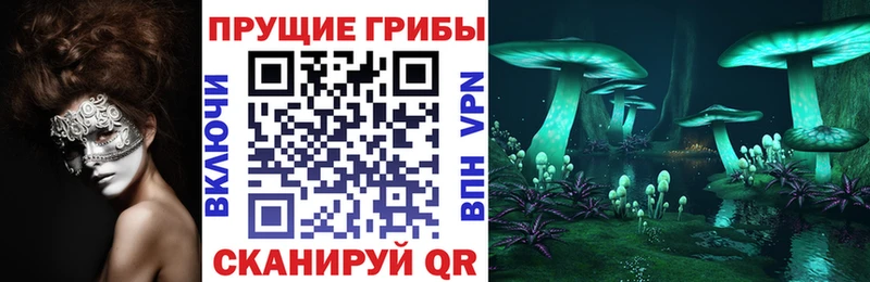 Галлюциногенные грибы Cubensis  Купить  Зеленоградск 