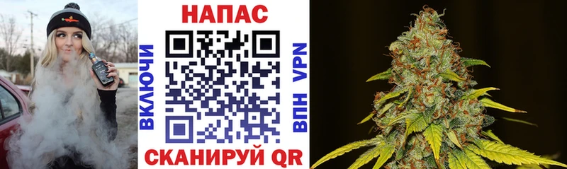 Купить  Зеленоградск  МАРИХУАНА THC 21% 